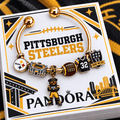 PBS Silver Charm Bracelet Set NTVA